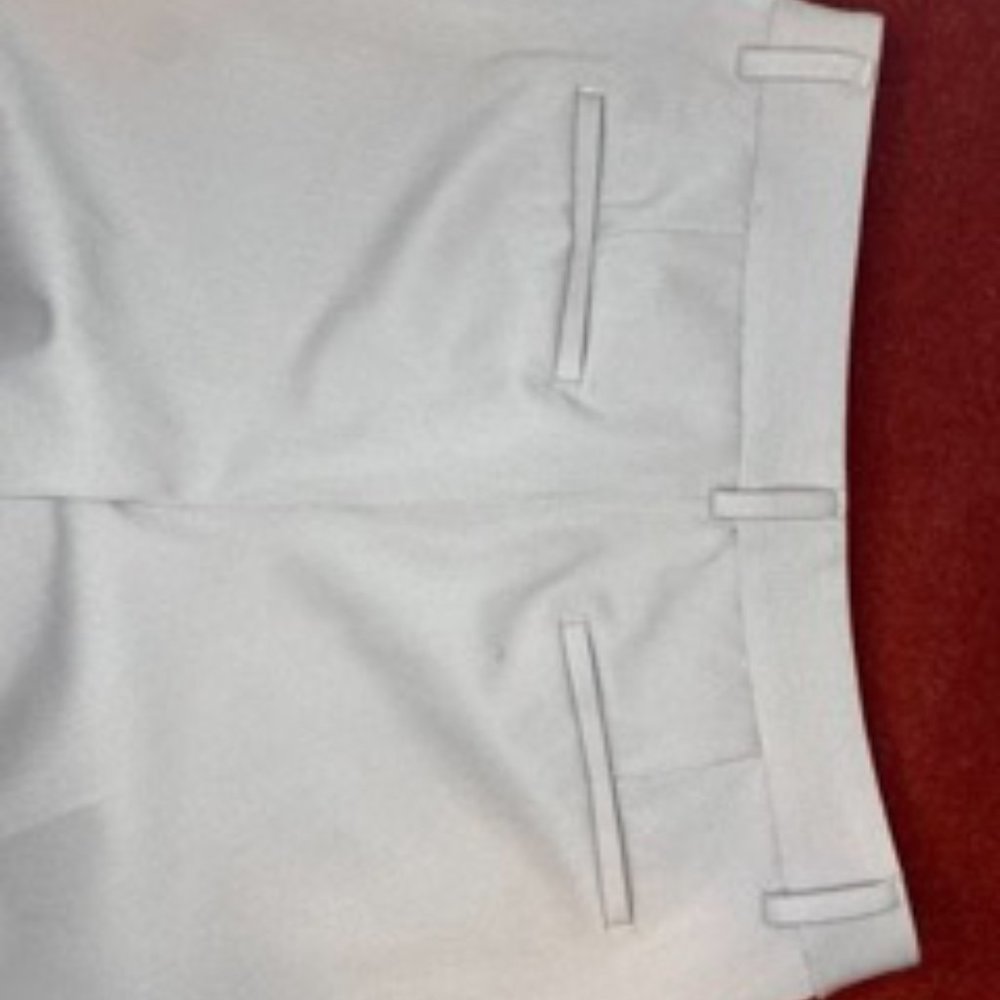 Express Editor Pant, Mauve, 8 Regular, Like New - image 4